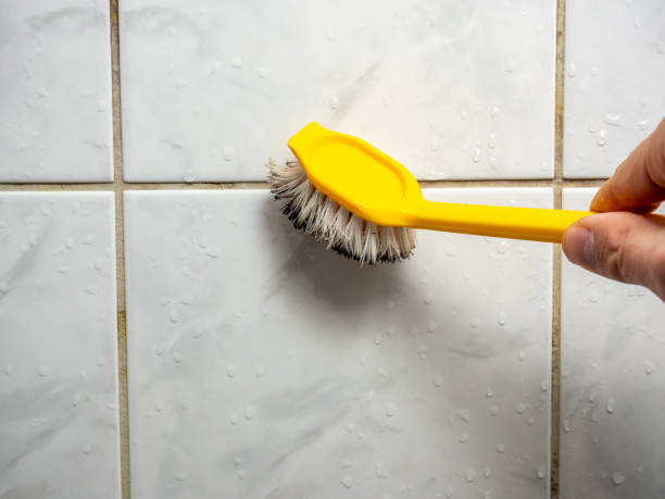 Best Same-Day Mold Removal  in Santa Maria, CA