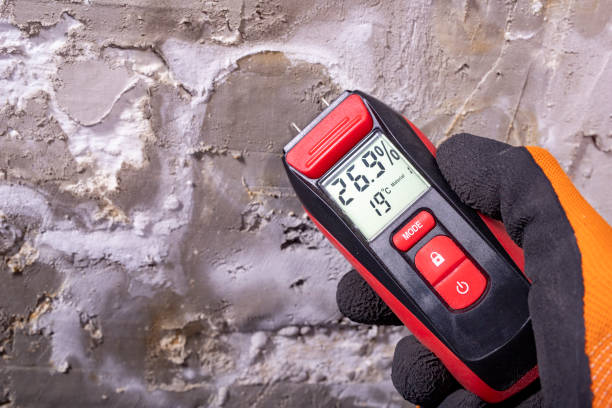 Best Black Mold Removal  in Santa Maria, CA
