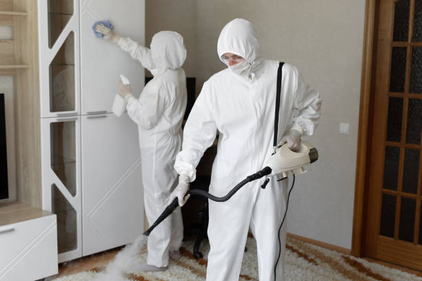 Mold Removal Process in Santa Maria, CA